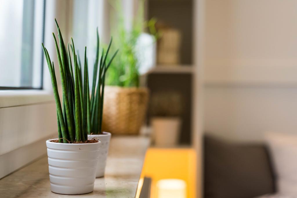 Apartamenty Tespis - Andersa Katowice Ngoại thất bức ảnh